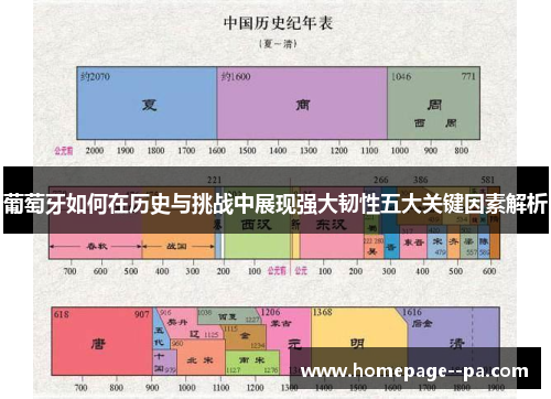 葡萄牙如何在历史与挑战中展现强大韧性五大关键因素解析